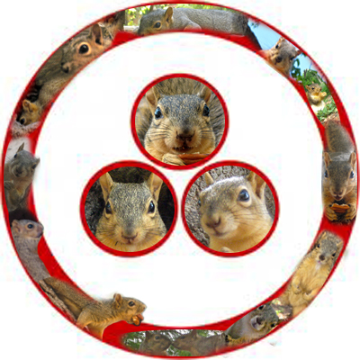 [Event Flier: South end of Pease Park - Dawn 'til Dusk - Sacred Ceremony at 7:31am, 1:31pm, 7:31pm - squirrelplanet.org]