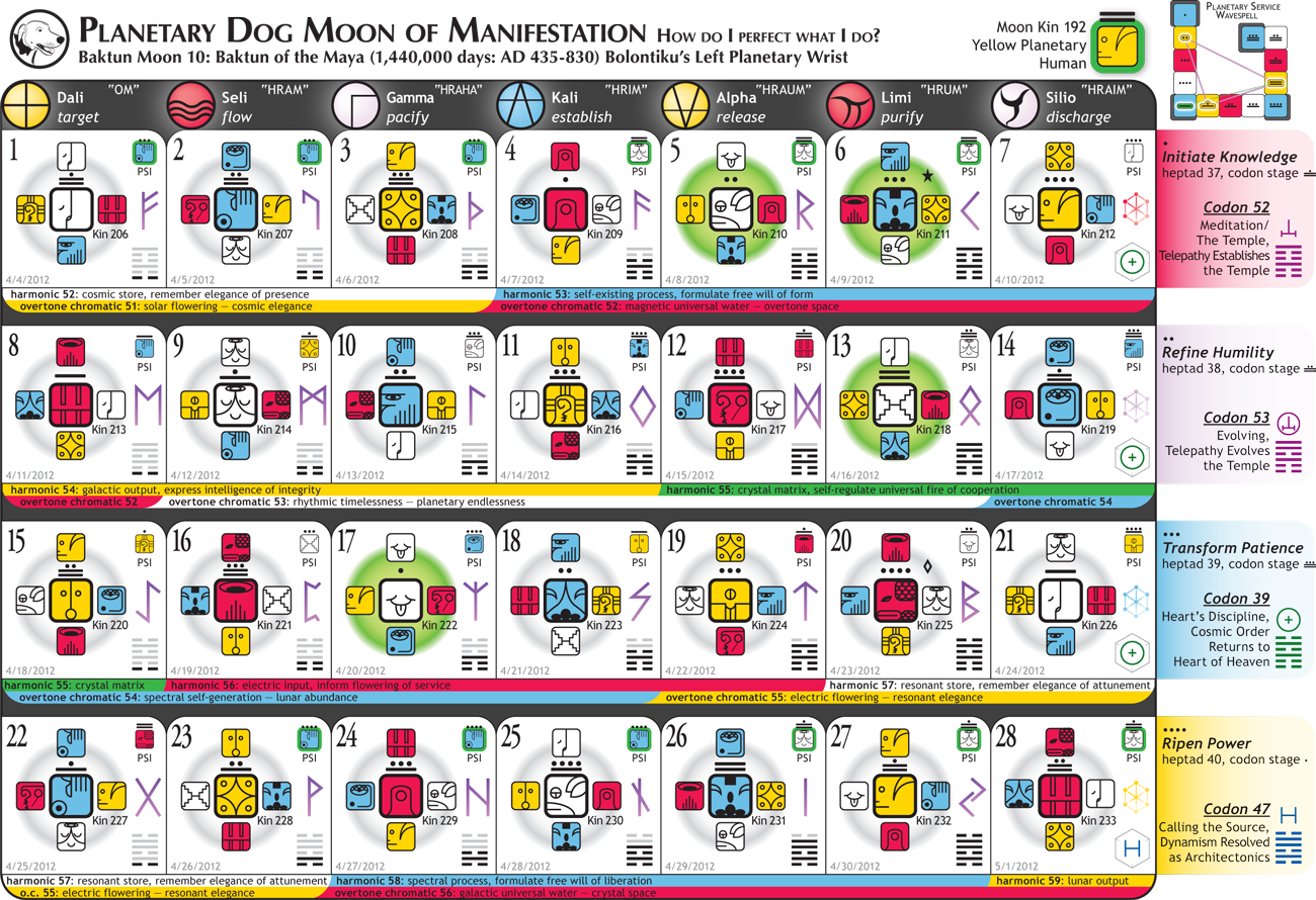 [Planetary Moon At-A-Glance - White Rhythmic Wizard Year]