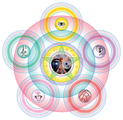 [Sorcerer's Whole Body Perception]