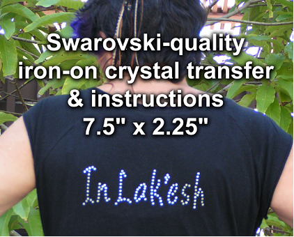 [In Lak'ech T-Shirt]
